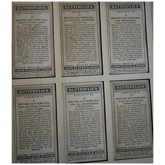 Vintage 1932 John Player Cigarette Cards BUTTERFLIES in Beautiful Wooden Frame - Picture 6 of 8